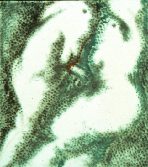 Couple, 1961 — José García Tella