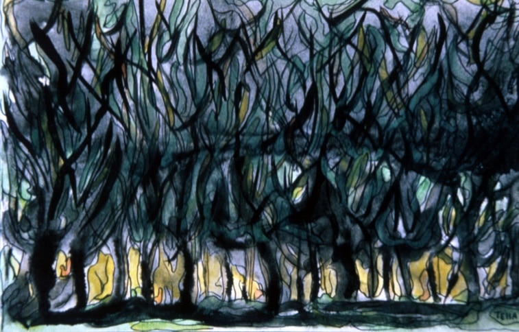 Forêt, 1965 — José García Tella