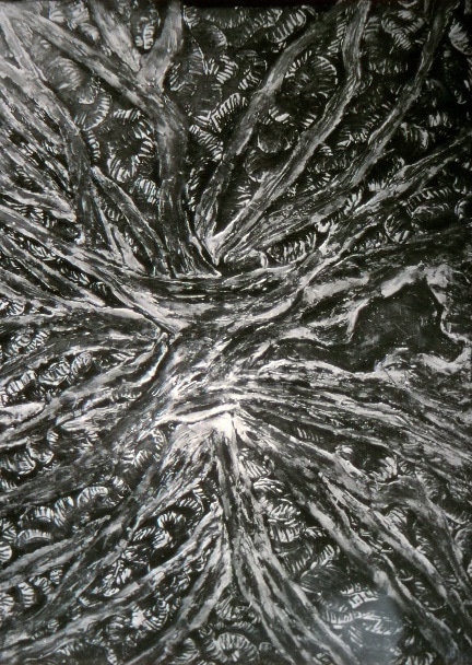 Les vers, c. 1957 — José García Tella