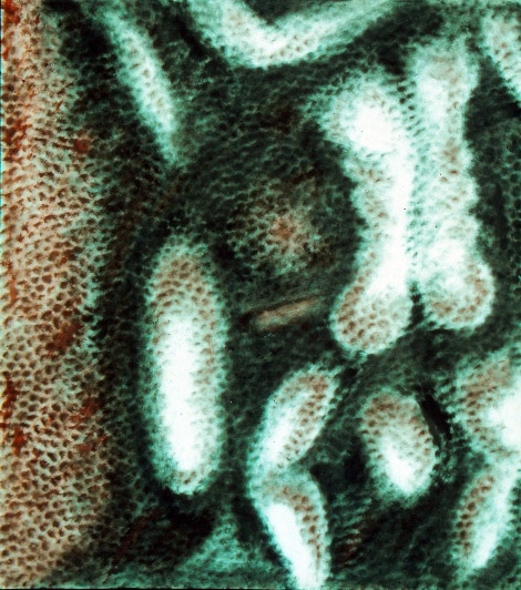 Phantasme, 1961 — José García Tella