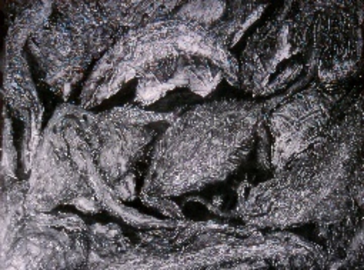 poissonnerie, 1959 — José García Tella